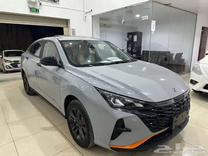 دونج فينج شاين 2026 12