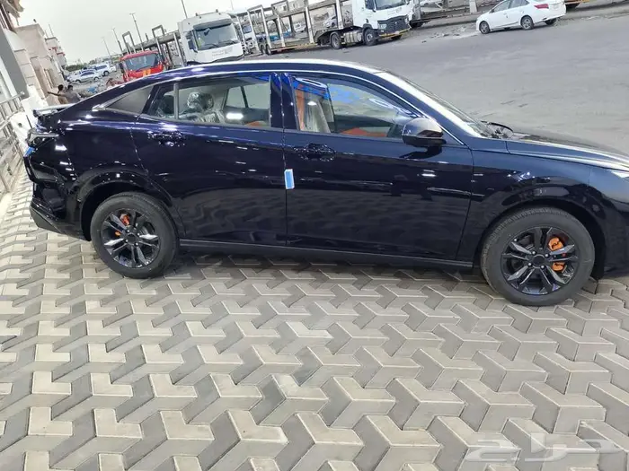 دونج فينج شاين 2026 7