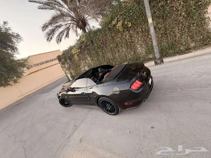 فورد موستنق 2021 كشف شبه مخزن ممشل قليل 31