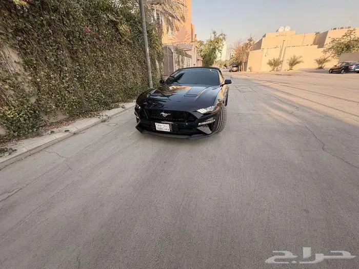 فورد موستنق 2021 كشف شبه مخزن ممشل قليل 42