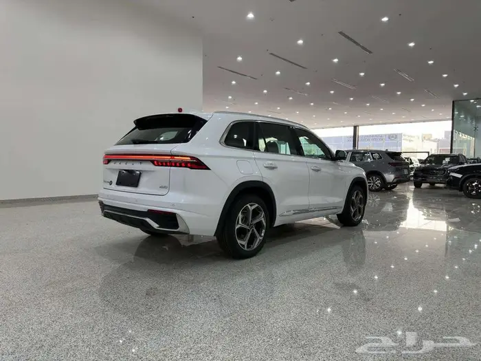 سياره جيلي مونجارو ابيض2024 18