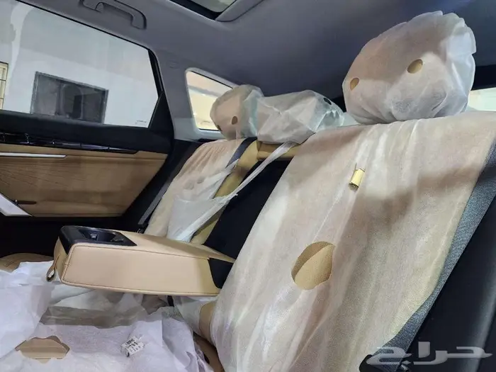 جيلى ستارراى 2024 12