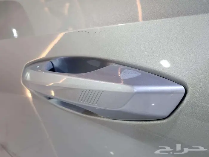 جيلى ستارراى 2024 17