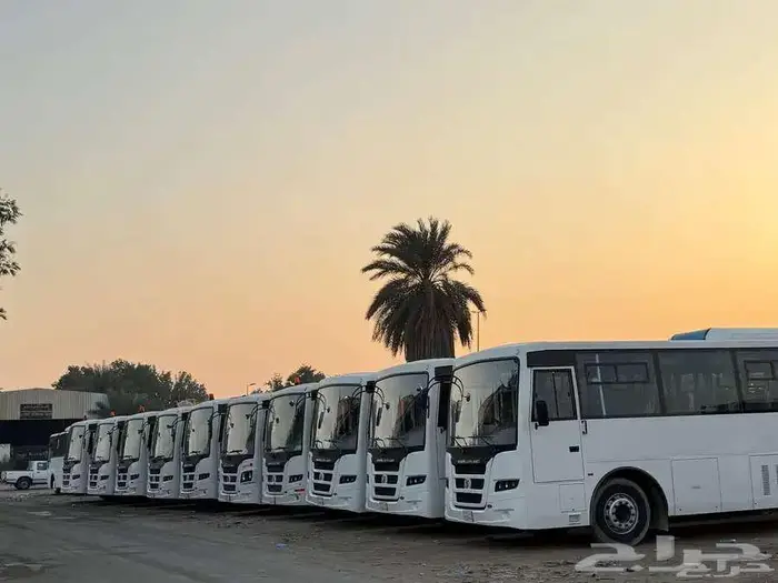 باصات ايجار حافلات بيك اب وايت مياه قلابات 0