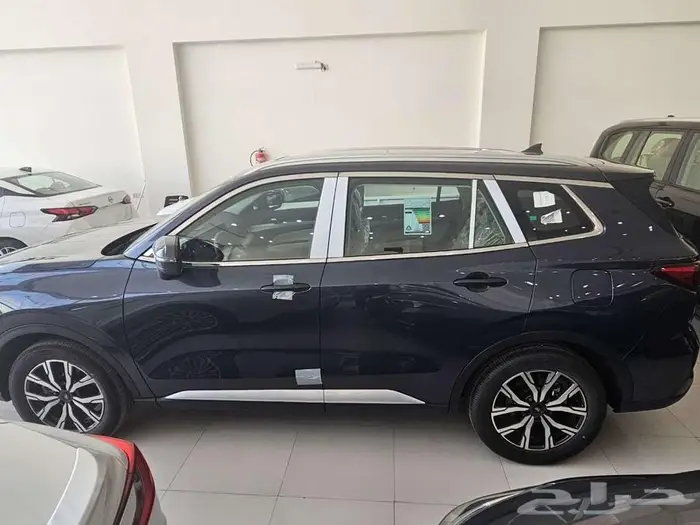 فورد تيريتورى ترند ناغي 2026 5