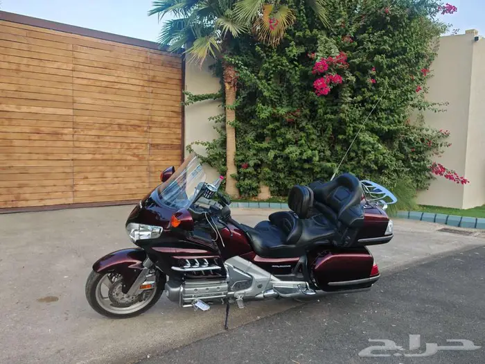 قولد وينق 2008 قولدوينق هوندا 0