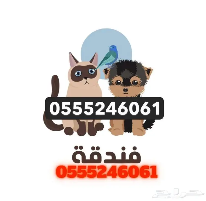 فندقة قطط وقت سفرك 6061 24 0555 حي المصيف 1