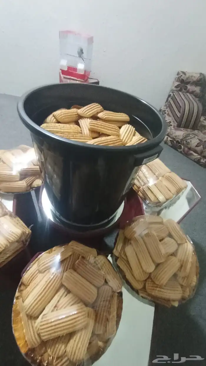 بيشه حي الفهد اشارة القرموشي 3