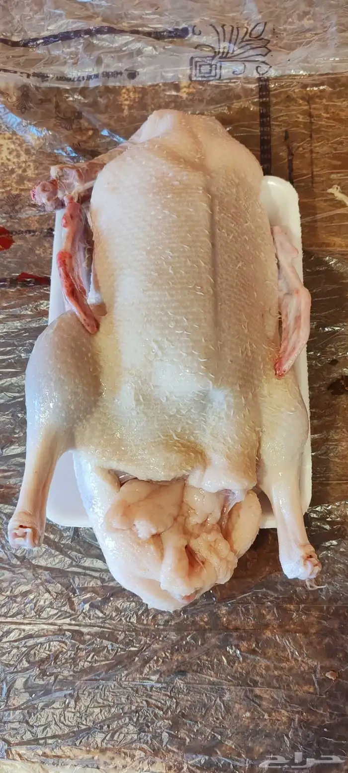 بط بكين عمر شهرين كميات فقط 5