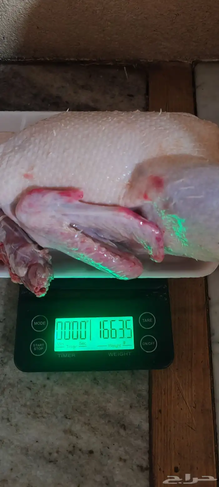 بط بكين عمر شهرين كميات فقط 6