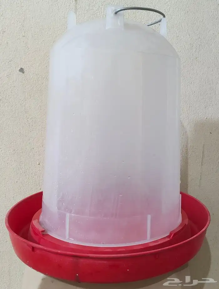 سقايات دواجن 1