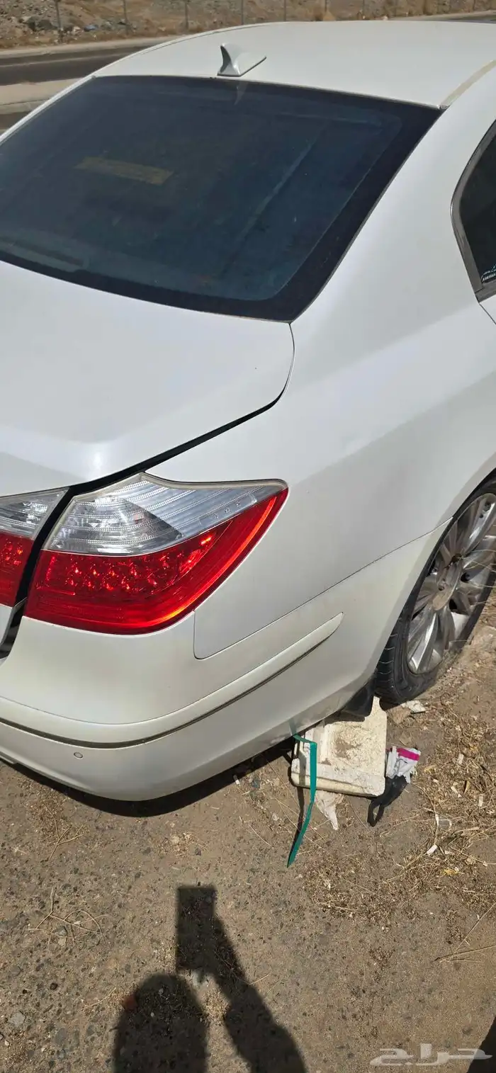 جنسس للبيع 8