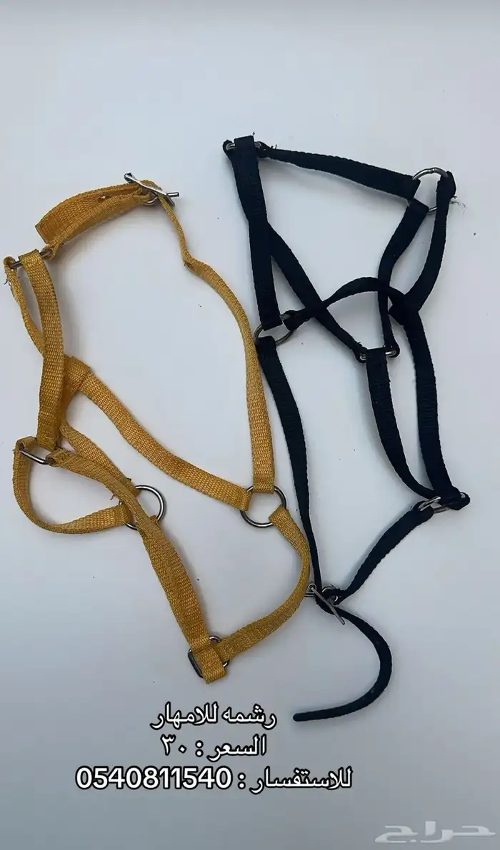 مستلزمات خيل 6