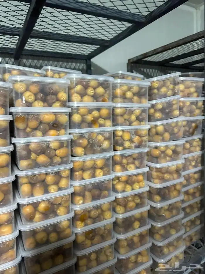 رطب روثانه الكميه 10 علبه 1