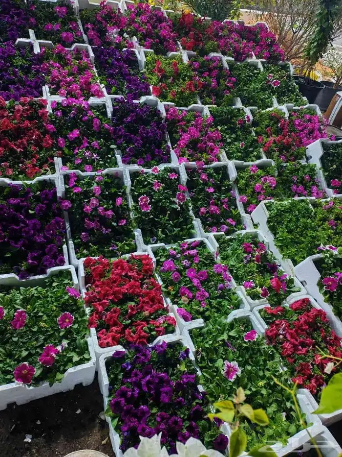 زرع طبيعي وثيل طبيعي وتيل طبيعي وشبكات الري ومشتل زراعية 9