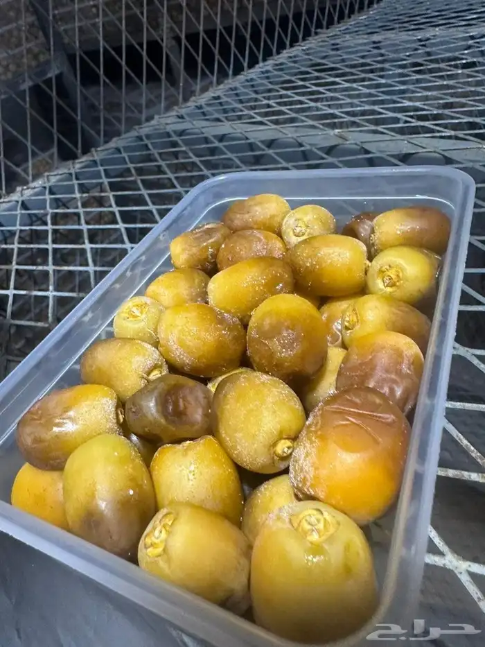 رطب روثانه الكميه 10 علبه 2