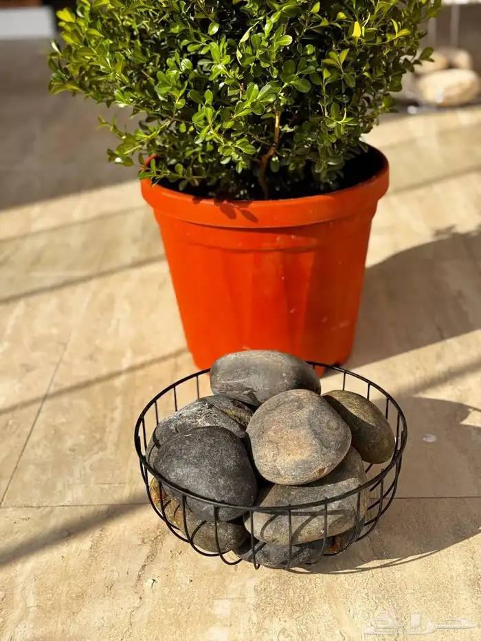 تنسيق الحدائق المنزلية 3