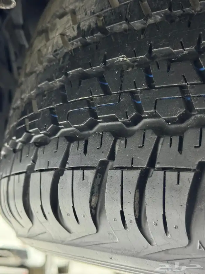 جي اكس ار 2015 اليحيا 30