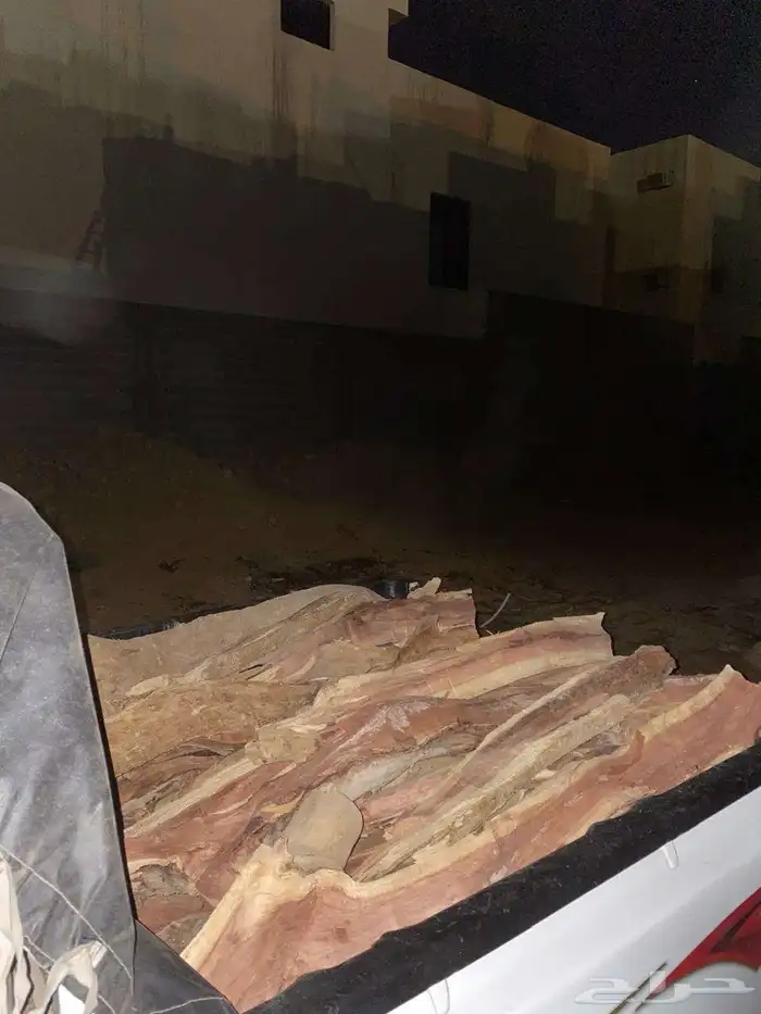 حطب سمر المدينه مسح صندوق غمارتين 0