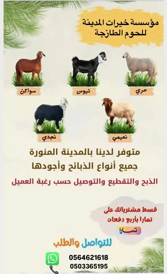 ذبايح حريات ونجدي وسواكن وتيوس مخاصي جبره وتجمل متوفر تمارا 7