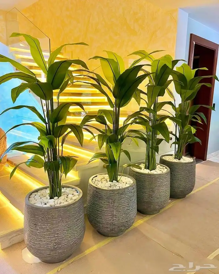 احواض فايبر احواض زراعة 1