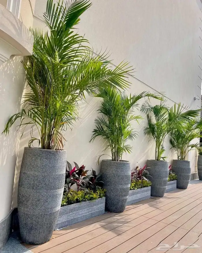 احواض فايبر احواض زراعة 0