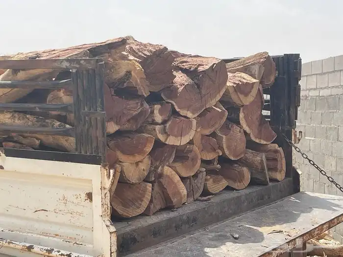 بقلاوة سمر المدينه 2