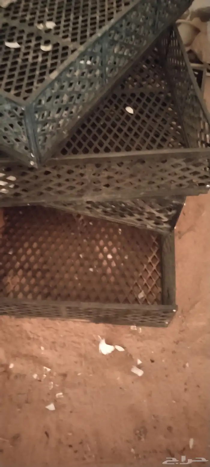 للبيع فقاسة مؤسسة فنون الدواجن 8 صفوف فل اتوماتيك 650 بيضة 14