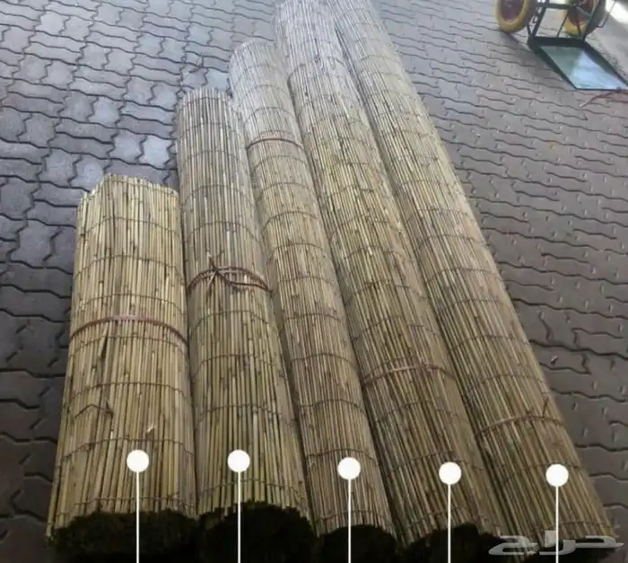 خيزران جلسات 1