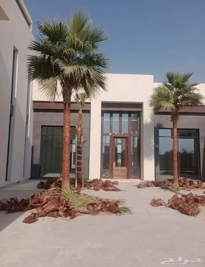 تخيل وشنطن ونخيل عربي 7