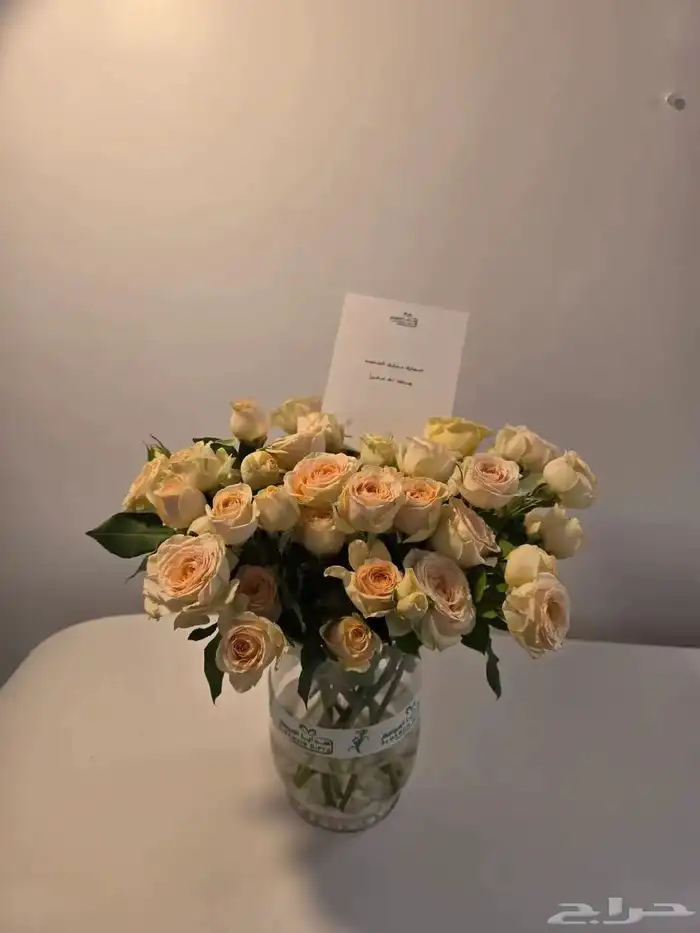 فازه ورد من هدايا الموسم 5