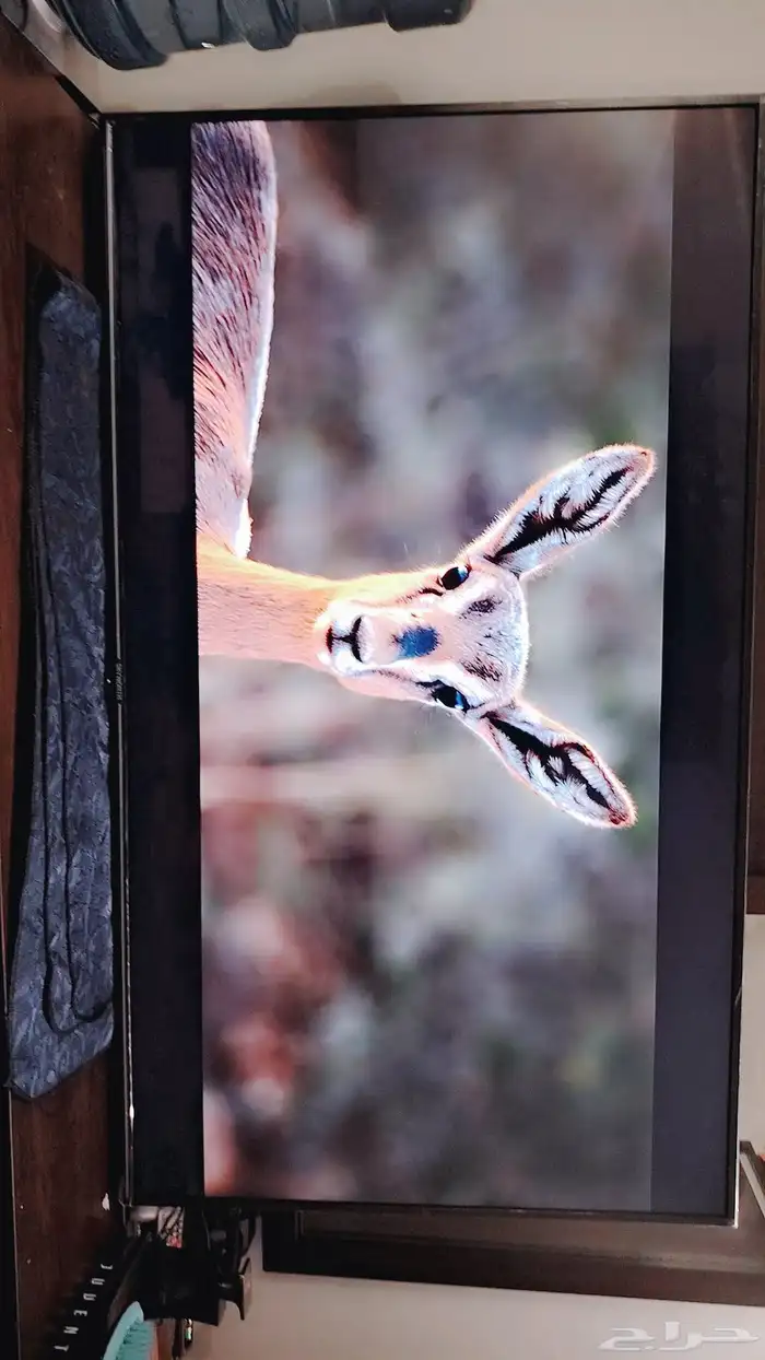 شاشة 65 بوصه كبيرة استخدام قليل لم تدخل صيانة 3