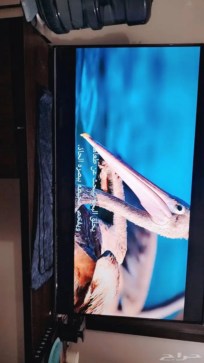 شاشة 65 بوصه كبيرة استخدام قليل لم تدخل صيانة 0