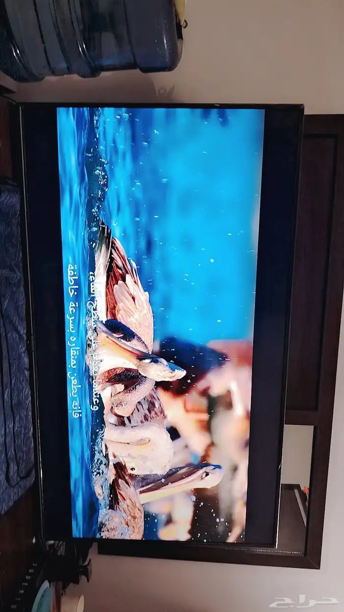 شاشة 65 بوصه كبيرة استخدام قليل لم تدخل صيانة 4