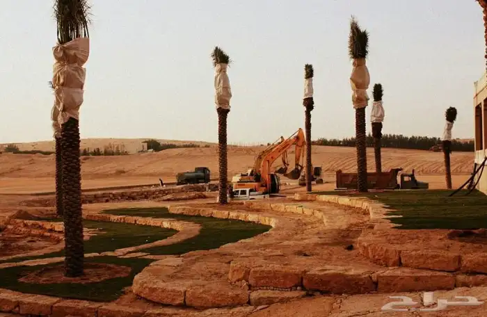 تخيل وشنطن ونخيل عربي 4