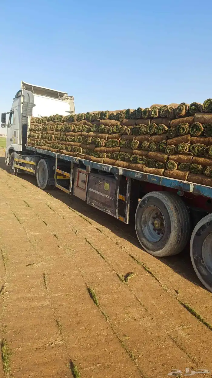 مسطحات خضراء 0