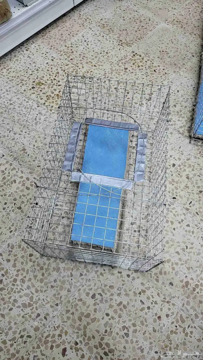 شبوك جلب الطيور سيم قوي 8