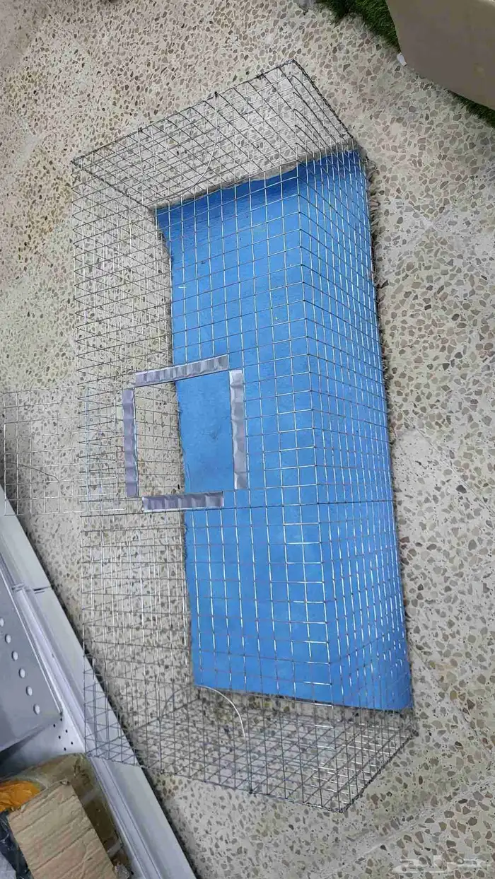 شبوك جلب الطيور سيم قوي 11