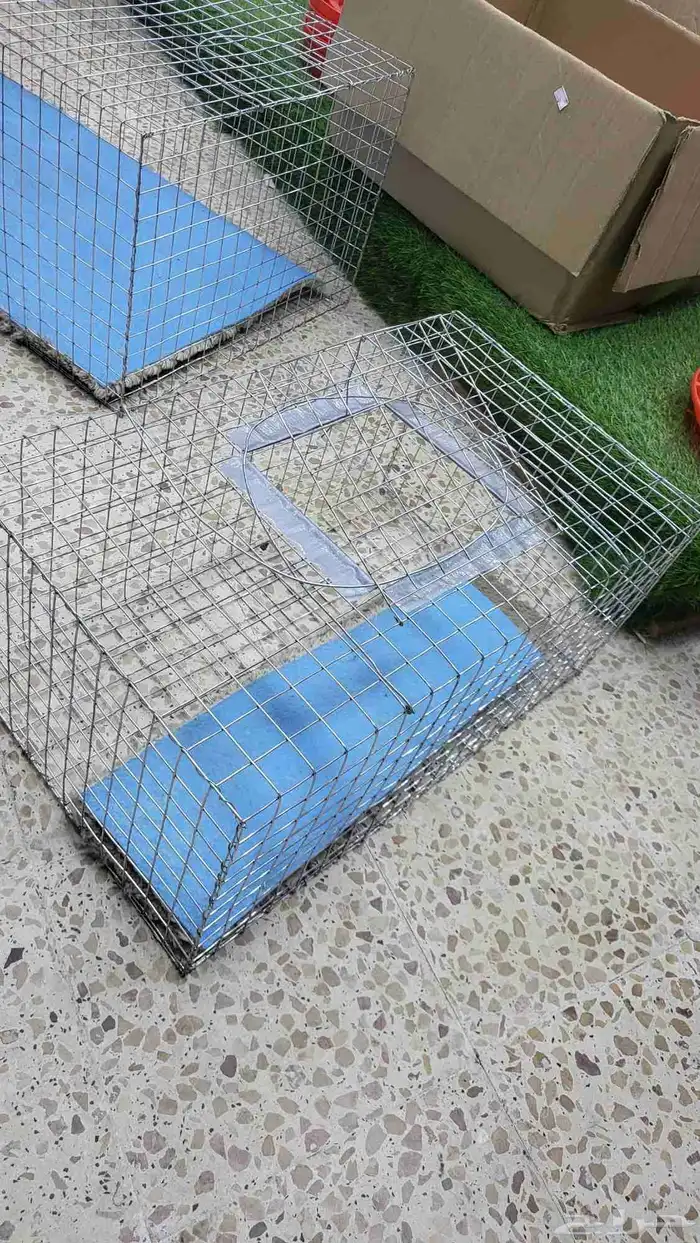 شبوك وقراقير عرض وجلب ونقل الطيور 1