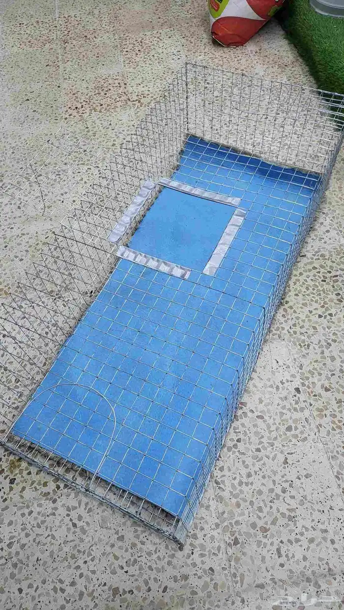 شبوك جلب الطيور سيم قوي 15