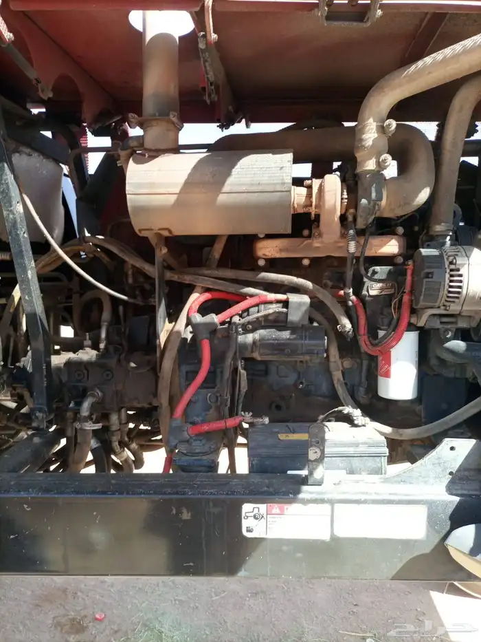 حساد  برسيم للبيع 7