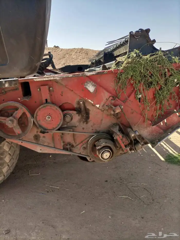 حساد  برسيم للبيع 5