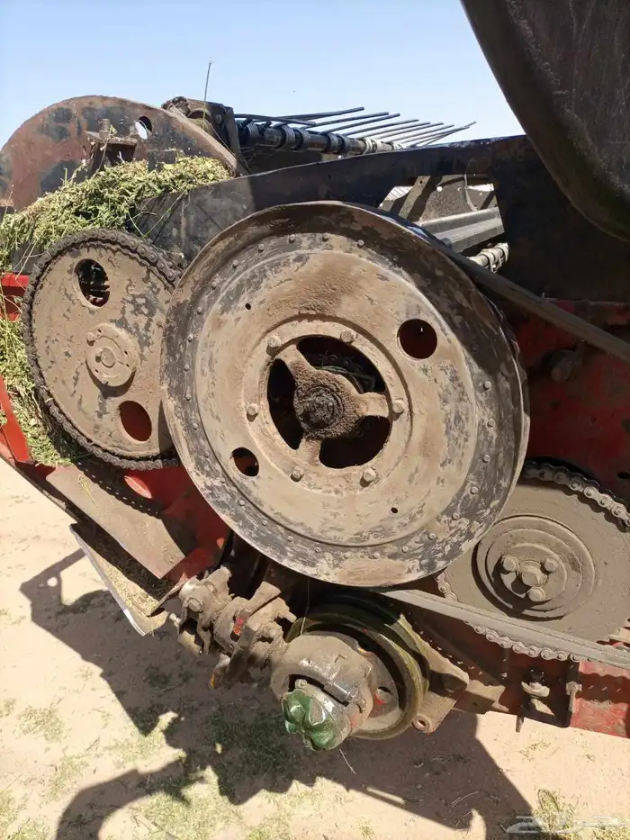 حساد  برسيم للبيع 8