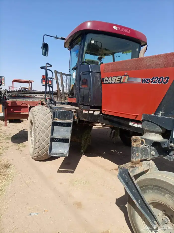 حساد  برسيم للبيع 6