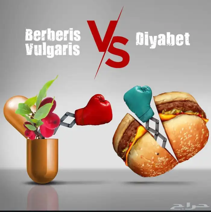 البربرين ناسف الدهون 4