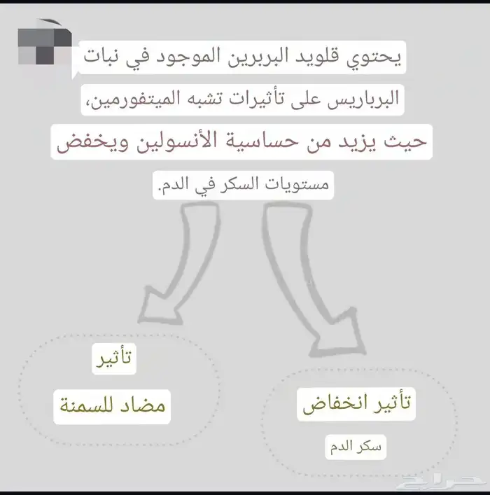 البربرين ناسف الدهون 2