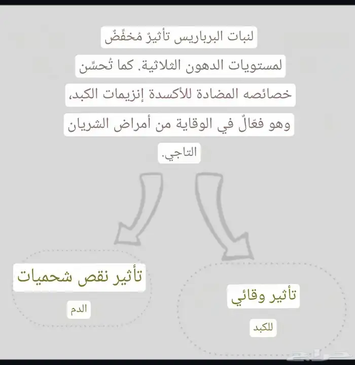 البربرين ناسف الدهون 3