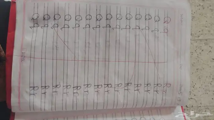 معلمة تأسيس ومتابعة للمرحلة الابتدائية ورياض الأطفال بالجبيل 1