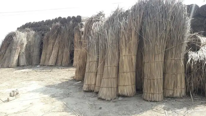 خيزران جلسات 2