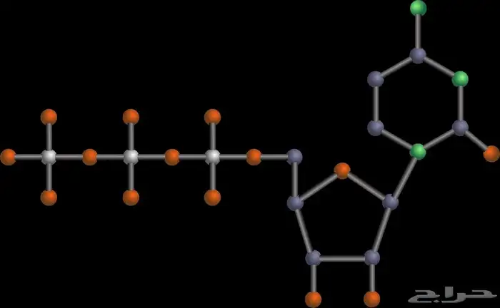معلمة Science أونلاين (Online Teacher) عن ب عد عبر ZOOM 7